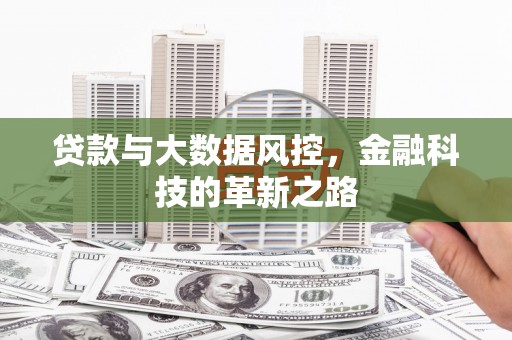 七台河贷款与大数据风控，金融科技的革新之路