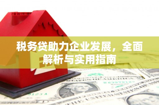 七台河税务贷助力企业发展，全面解析与实用指南