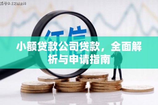 七台河小额贷款公司贷款，全面解析与申请指南