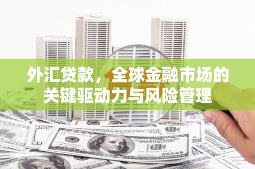 七台河外汇贷款，全球金融市场的关键驱动力与风险管理