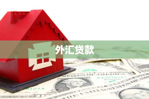 七台河外汇贷款