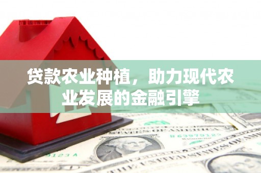 七台河贷款农业种植，助力现代农业发展的金融引擎