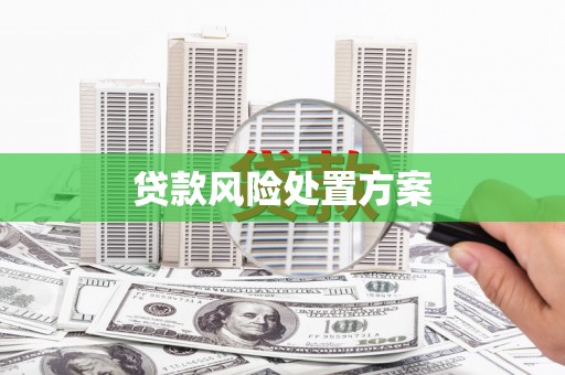 七台河贷款风险处置方案