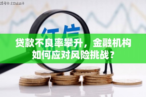 七台河贷款不良率攀升，金融机构如何应对风险挑战？