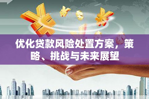 七台河优化贷款风险处置方案，策略、挑战与未来展望