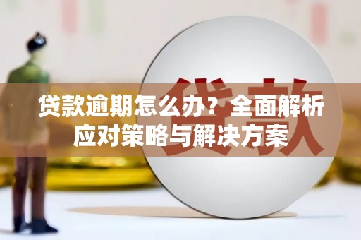七台河贷款逾期怎么办？全面解析应对策略与解决方案