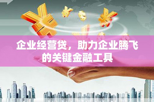 七台河企业经营贷，助力企业腾飞的关键金融工具