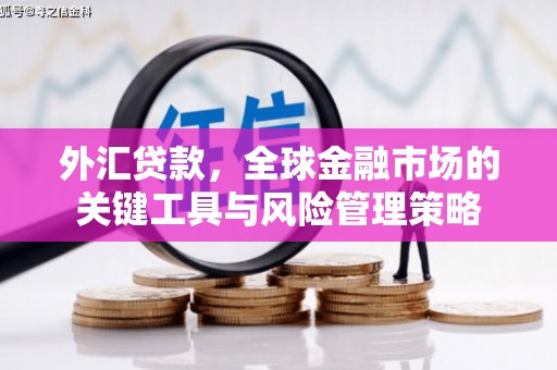 七台河外汇贷款，全球金融市场的关键工具与风险管理策略
