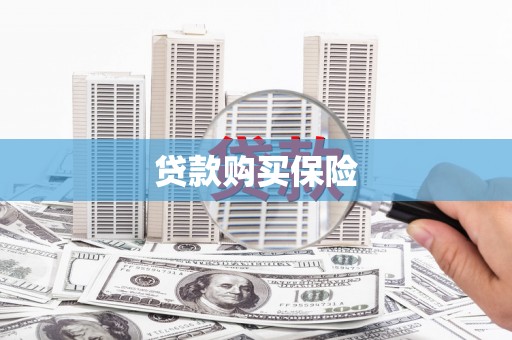 七台河贷款购买保险