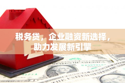 七台河税务贷，企业融资新选择，助力发展新引擎