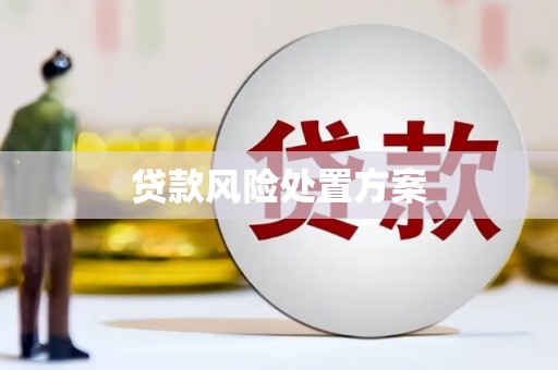 七台河贷款风险处置方案