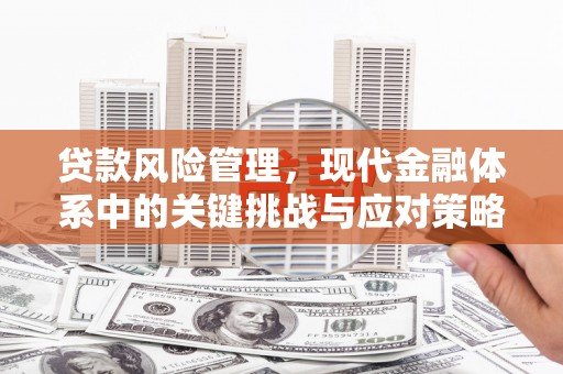 七台河贷款风险管理，现代金融体系中的关键挑战与应对策略
