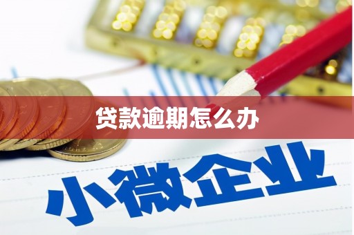 七台河贷款逾期怎么办