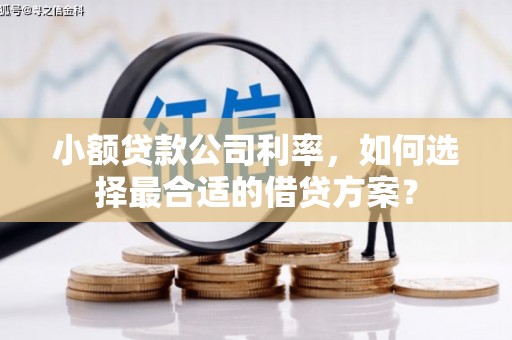 七台河小额贷款公司利率，如何选择最合适的借贷方案？