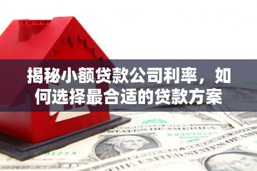 七台河揭秘小额贷款公司利率，如何选择最合适的贷款方案