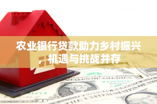 七台河农业银行贷款助力乡村振兴，机遇与挑战并存