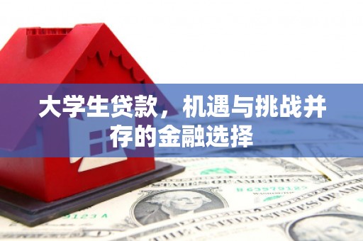 七台河大学生贷款，机遇与挑战并存的金融选择